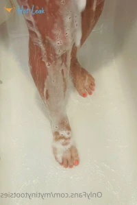 7399251