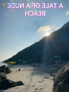 7385462
