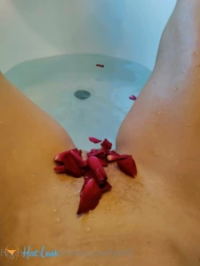 7334216