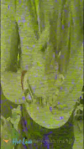 7065237