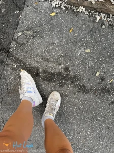 7303611