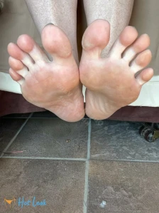 7295994