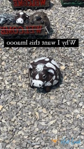 6674787