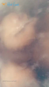 6890363