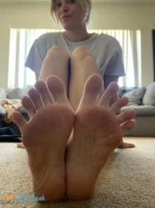 7052673