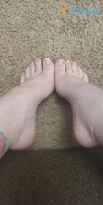 6587139