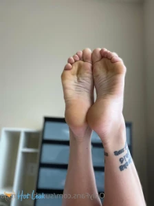 6594127