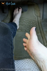 6579447