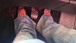 6766039