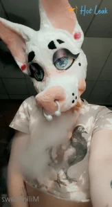 6518691