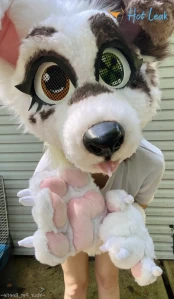 6677076
