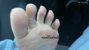 9555054