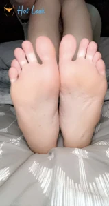 7799207