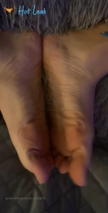 10929517
