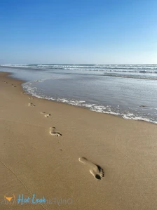 7863891
