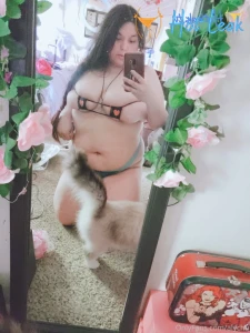 11783353