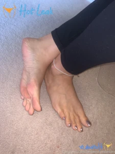 11568182