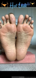 11569450