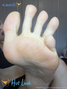11636792