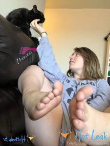 11727386