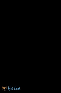 8455292