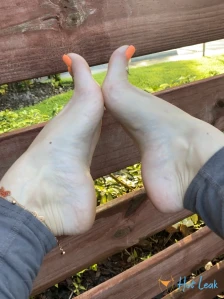 8426238