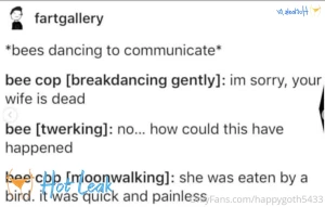 11538804