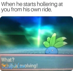 11562198