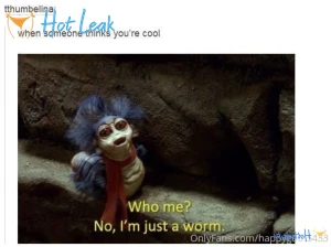 11563496