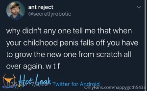 11612135