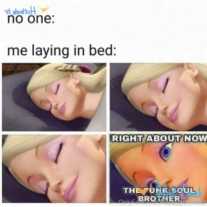 11612708