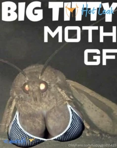 11781747