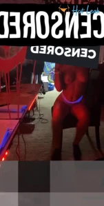 8408092