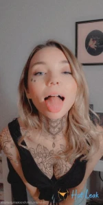 11402954