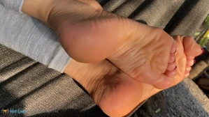 10533841