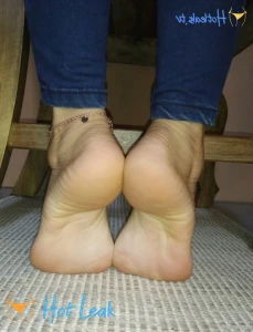 11833186