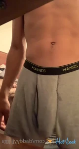 8337353