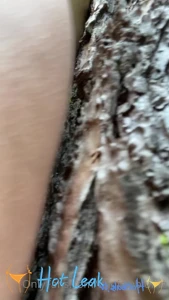 11604281