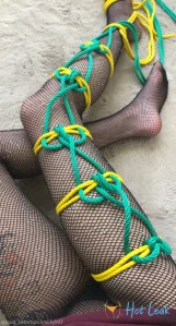 7907953