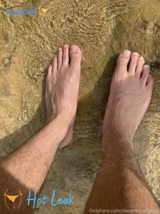 11449627