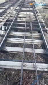 8302858