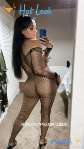 11446481