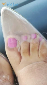 9185529