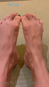 8273719