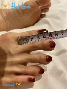 11706453