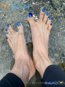 11875072