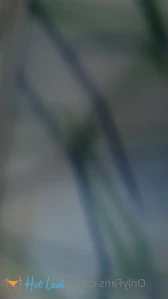 8266046