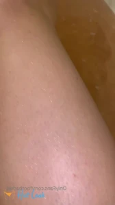 8263702