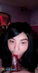 8262151