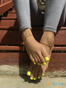 9050798